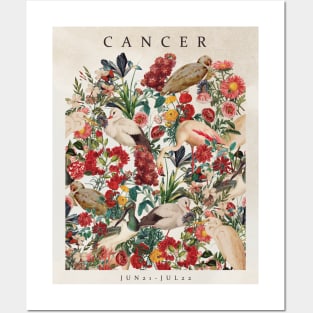 CANCER Posters and Art